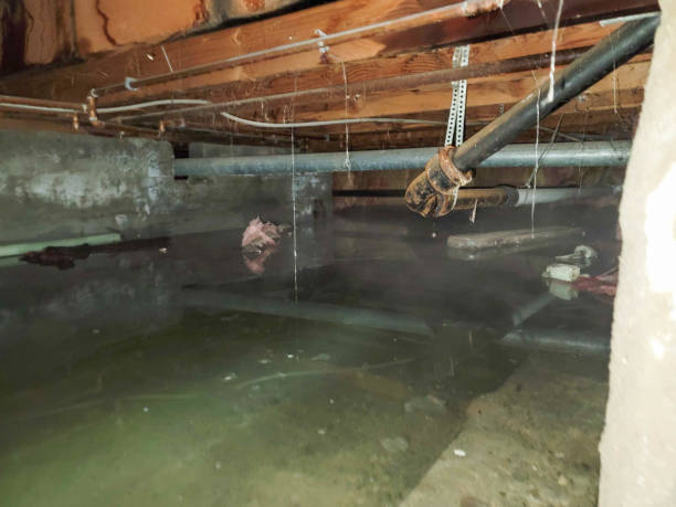 Best Water damage restoration near me  in Oakland, NJ