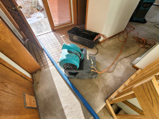 Best Water damage contractors near me  in Oakland, NJ