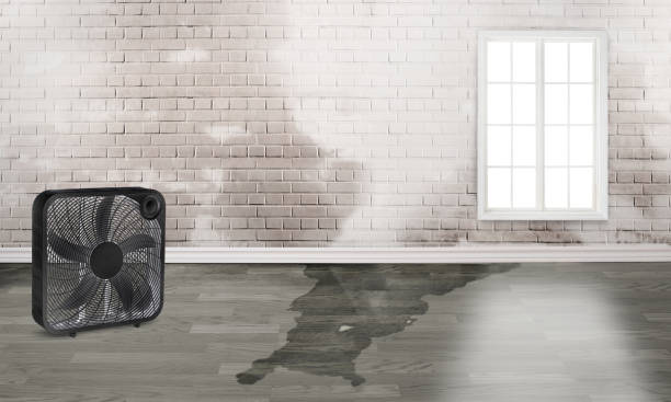  Oakland, NJ Water damage restoration Pros