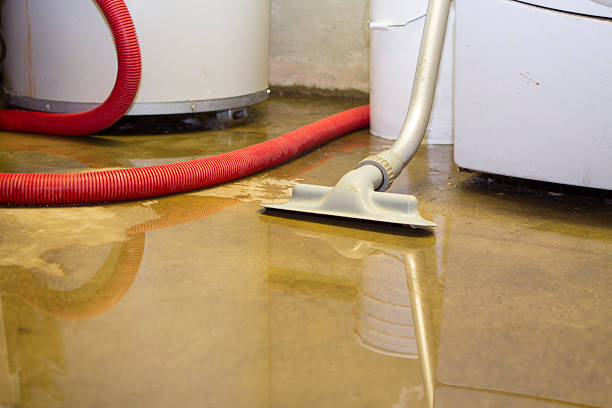 Best Ceiling water damage repair  in Oakland, NJ