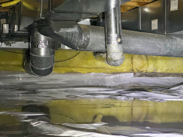 Best Basement water damage restoration  in Oakland, NJ