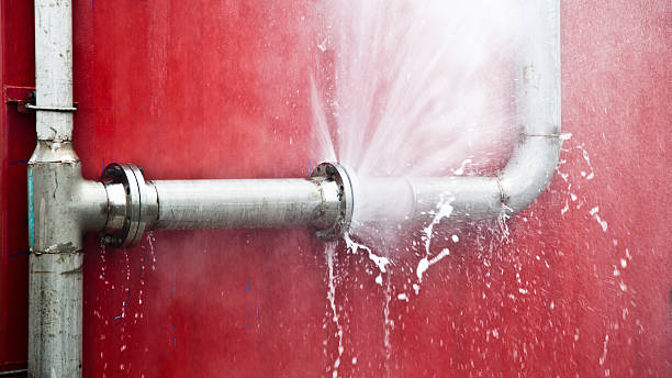 Best Carpet water damage restoration  in Oakland, NJ